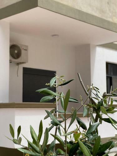Star Holiday Apartments