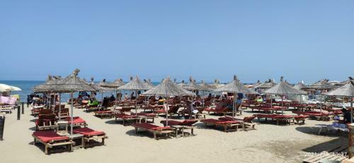 Luxury Beach Apartment In Qerret