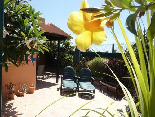 The Corner Garden - Sonnenland