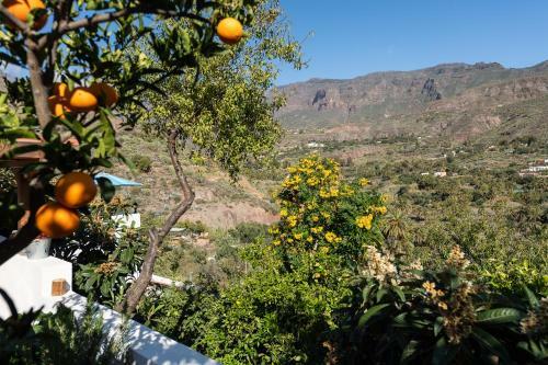 Agroturismo Kasalvaro