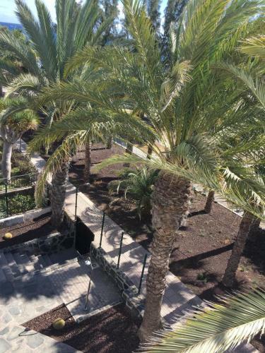 Apartamento Vv Testeina