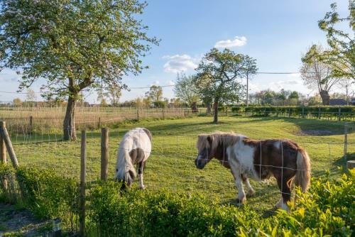 Hoeve De Zuidhoek