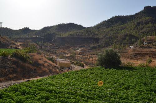 Casa De Diego Y Mela