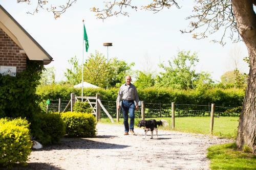 Bed And Breakfast Klein Groenbergen