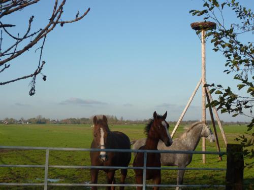 Bed & Breakfast Boerderij "de Verwondering"