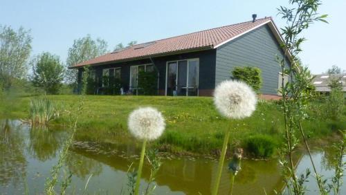 Bed & Breakfast Boerderij "de Verwondering"