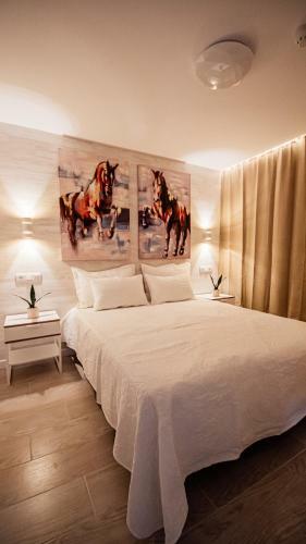 Apartamento Appartamento Don Quijote