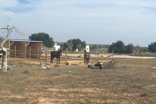 Mar I Montanya Formentera 2