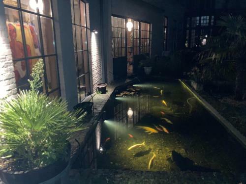 Bed & Breakfast Canal Central