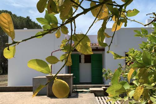 Casa Rural Sa Barda - Vida Entre Vi�edos