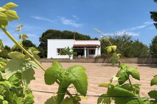 Casa Rural Sa Barda - Vida Entre Vi�edos