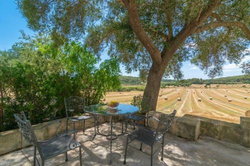 Villa Ses Cases Velles De Son Bar�