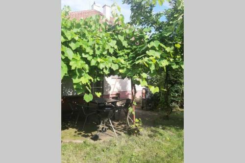 Klid ?as? D�vno Minul�ch Hned Za Prahou