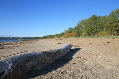 Excellent Log House With A Sauna In Lahemaa!