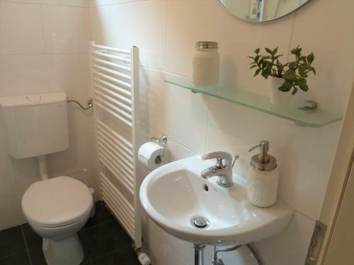 Apartamento Haus Moselwiese
