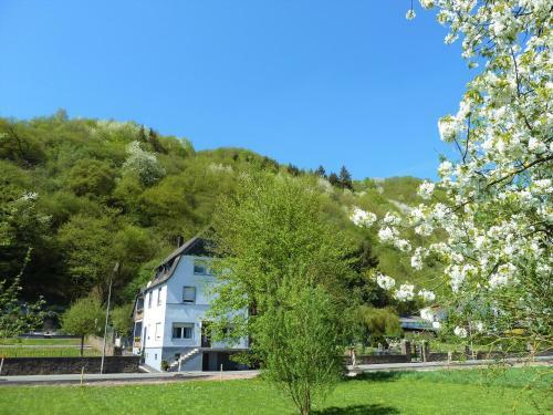 Apartamento Haus Moselwiese