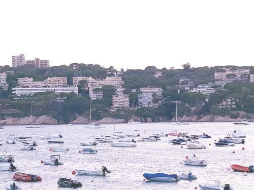 Apartamento Sagar� Front Beach