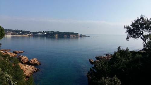Apartamento Sagar� Front Beach