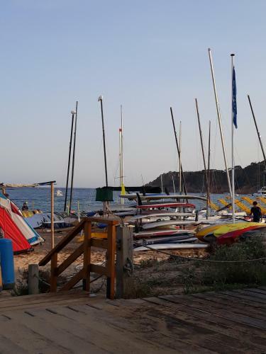 Apartamento Sagar� Front Beach