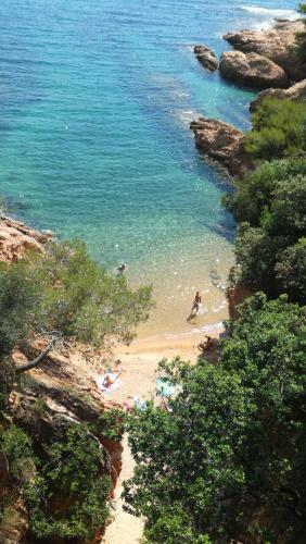 Apartamento Sagar� Front Beach