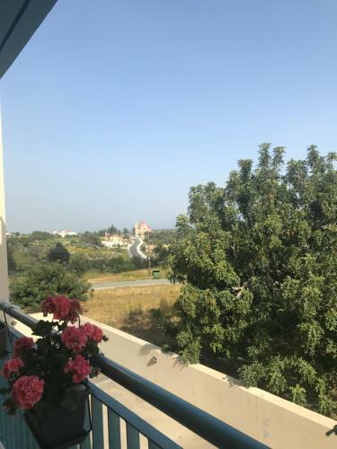 Apartamento Mazotos 54m2 One Bedroom Flat, "panoramic Village"