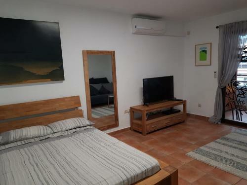 Apartamento Estudio En El Centro de San Juan de Alicante