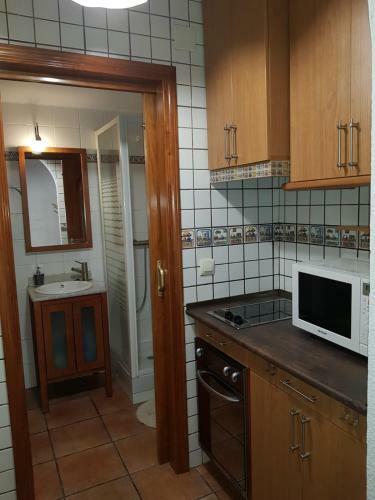 Apartamento Estudio En El Centro de San Juan de Alicante