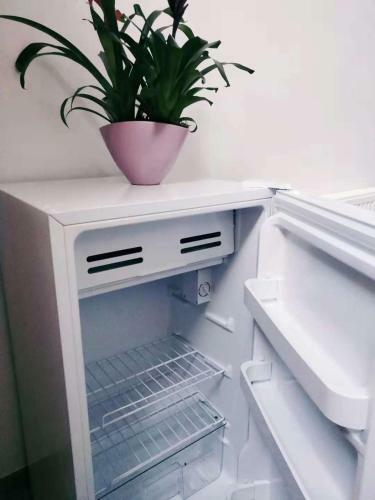 Apartamento Artistic World