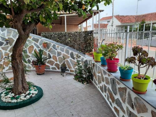 Calle Dr Fleming 3 Bedroom Home