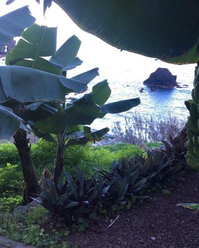 Casa Salvia Las Aguas