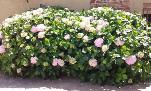 Cal Maduxaire Casa Aislada-h�pica