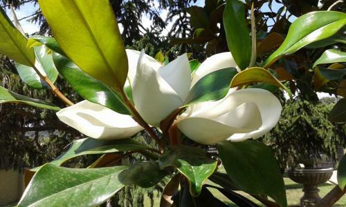 Cal Maduxaire Casa Aislada-h�pica