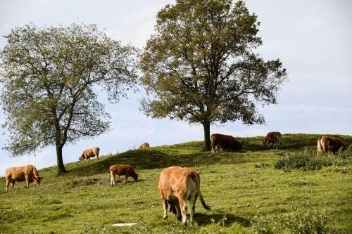 El Serradell Agroturisme