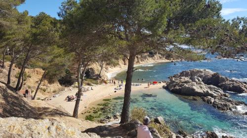Apartamento En La Playa De La Fosca