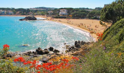 Apartamento 3x-royal Cau
