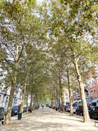 Apartamento Quartier Des Quais Dansaert