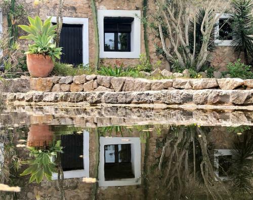 Villa Can Vicent Masia
