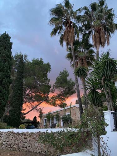 Villa Can Vicent Masia