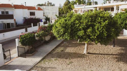 Apartamento Indalmar II San Jos�