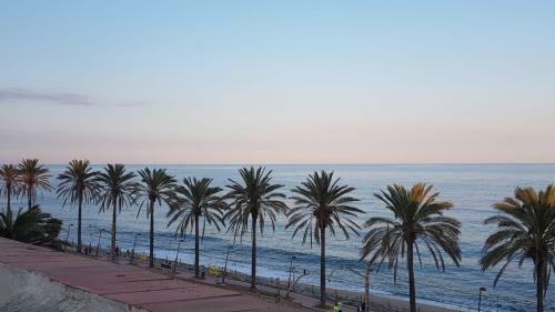 Hotel Tres Leones