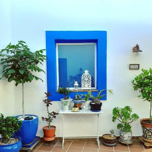 Bed & Breakfast Casa Agua Marina