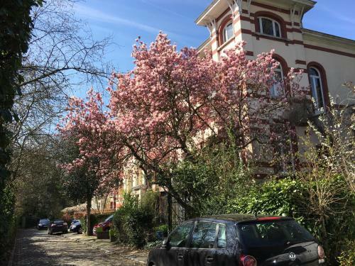Apartamento Blue Alice Brussels