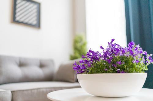 Apartamento Grand Place 1 Bedroom