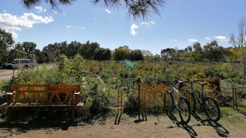 Caravalu