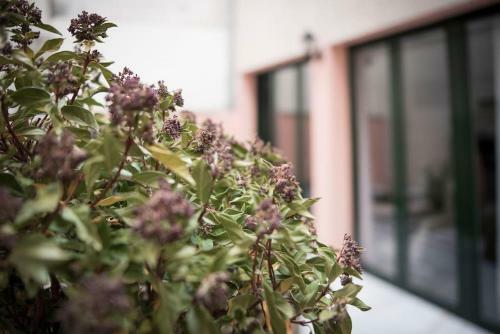 Apartamento En Centro Hist�rico Con Patio Romano