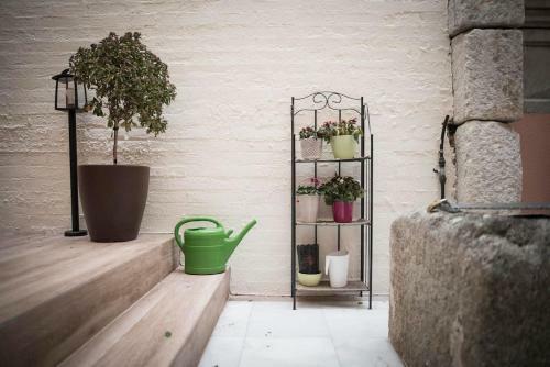 Apartamento En Centro Hist�rico Con Patio Romano