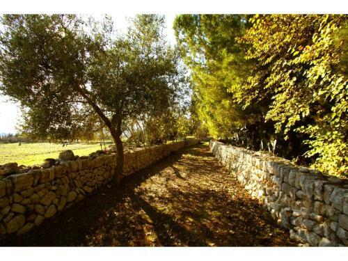 Beautiful Newly Renovated Rustic Country House With Pool