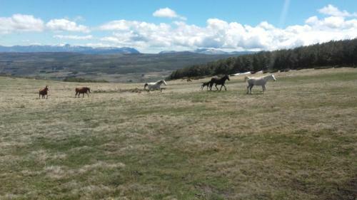 Agroturismo Los Arroyos