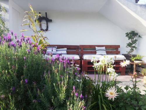 Apartamento A Quinta Das Bolboretas