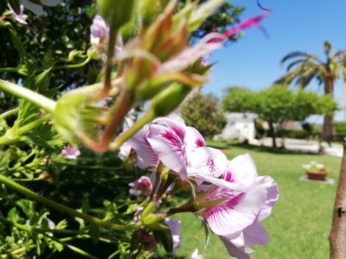 Apartamento A Quinta Das Bolboretas
